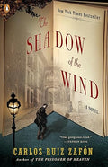 The Shadow of the wind