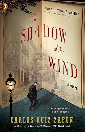 The Shadow of the wind